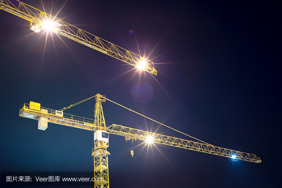 鶴和夜晚的照明